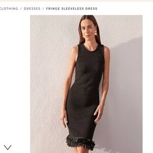 Ann Taylor: Fringe Sleeveless Dress